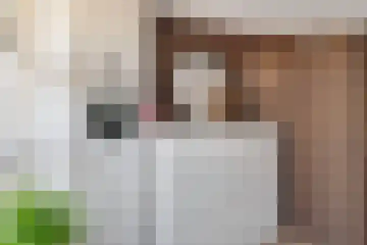 Emmalaan 19 Emmen thumbnail 37