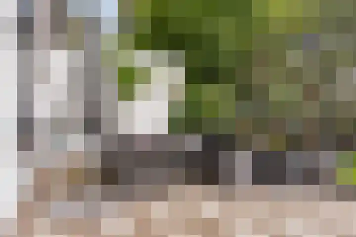 Emmalaan 19 Emmen thumbnail 39