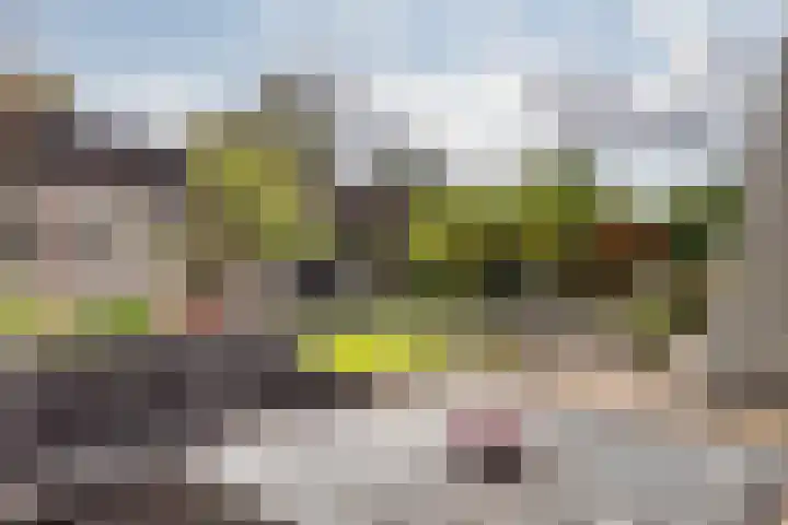 Emmalaan 19 Emmen thumbnail 40