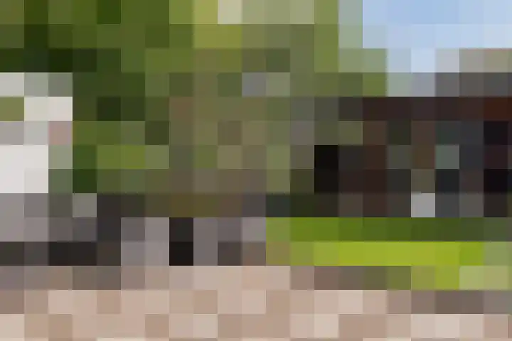 Emmalaan 19 Emmen thumbnail 41