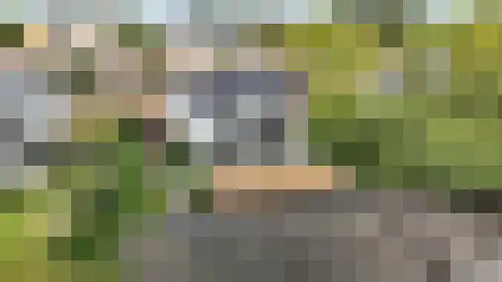 Emmalaan 19 Emmen thumbnail 45