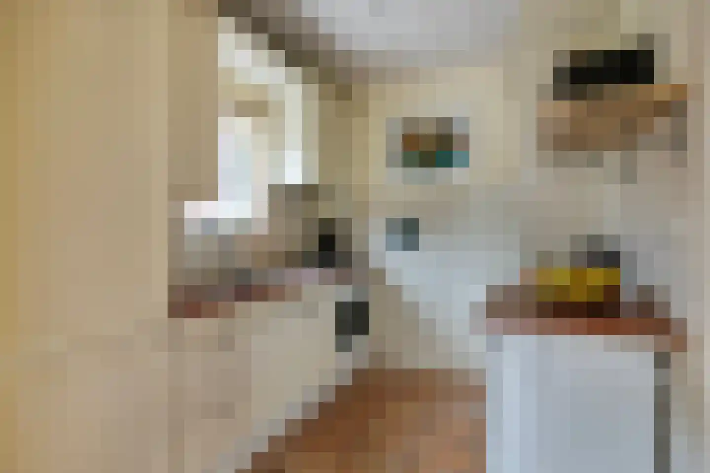 Emmalaan 2 Soest thumbnail 14