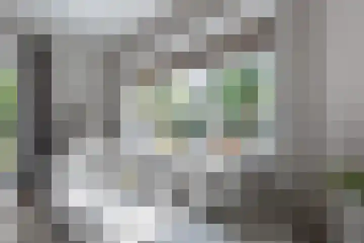 Emmalaan 20 Soest thumbnail 17