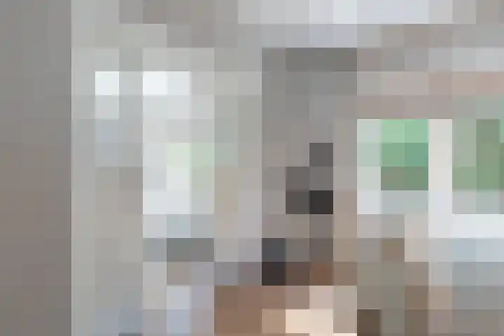 Emmalaan 20 Soest thumbnail 21