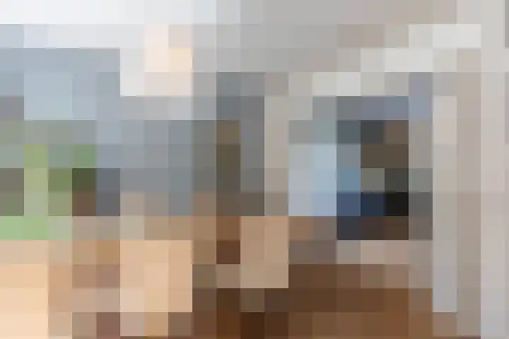 Emmalaan 20 Soest thumbnail 22