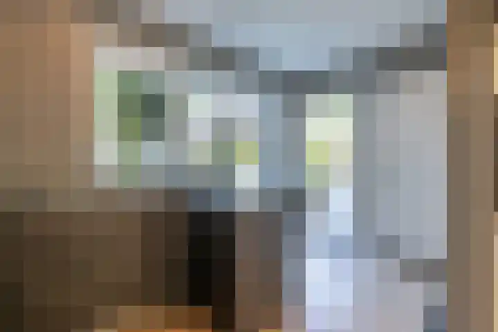 Emmalaan 20 Soest thumbnail 29