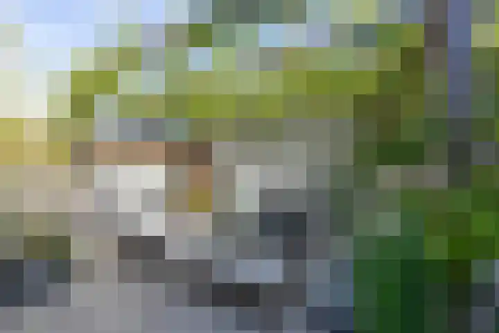 Emmalaan 20 Soest thumbnail 34