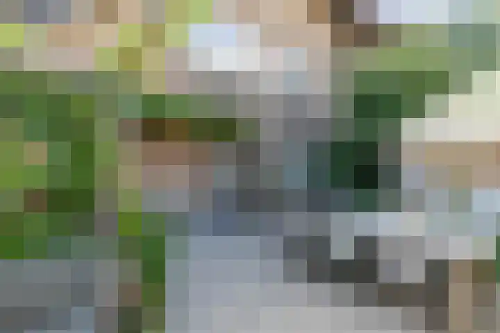 Emmalaan 20 Soest thumbnail 35