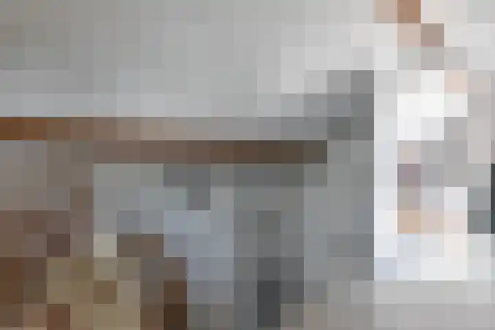Emmalaan 20 Soest thumbnail 58