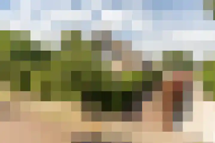 Emmalaan 20 Soest thumbnail 6
