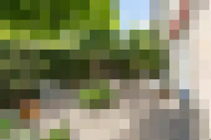 Emmalaan 20 Soest thumbnail 7