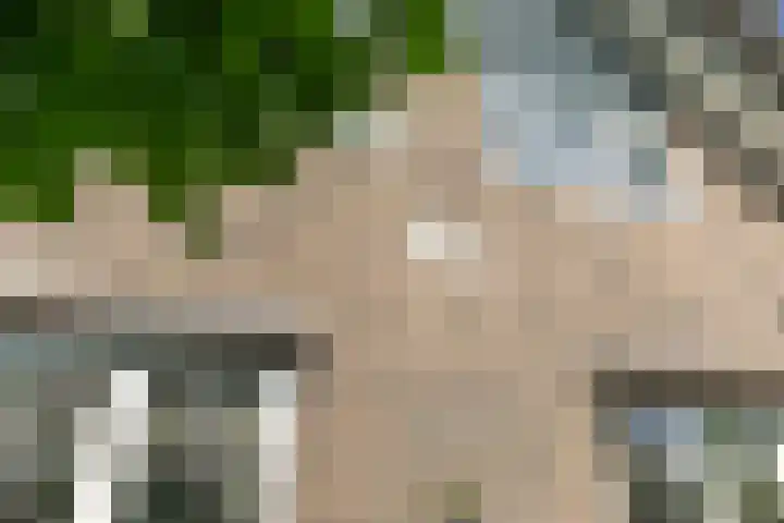 Emmalaan 20 Soest thumbnail 9