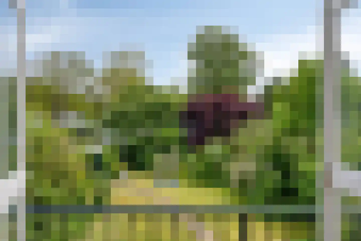 Emmalaan 21 Emmen thumbnail 16