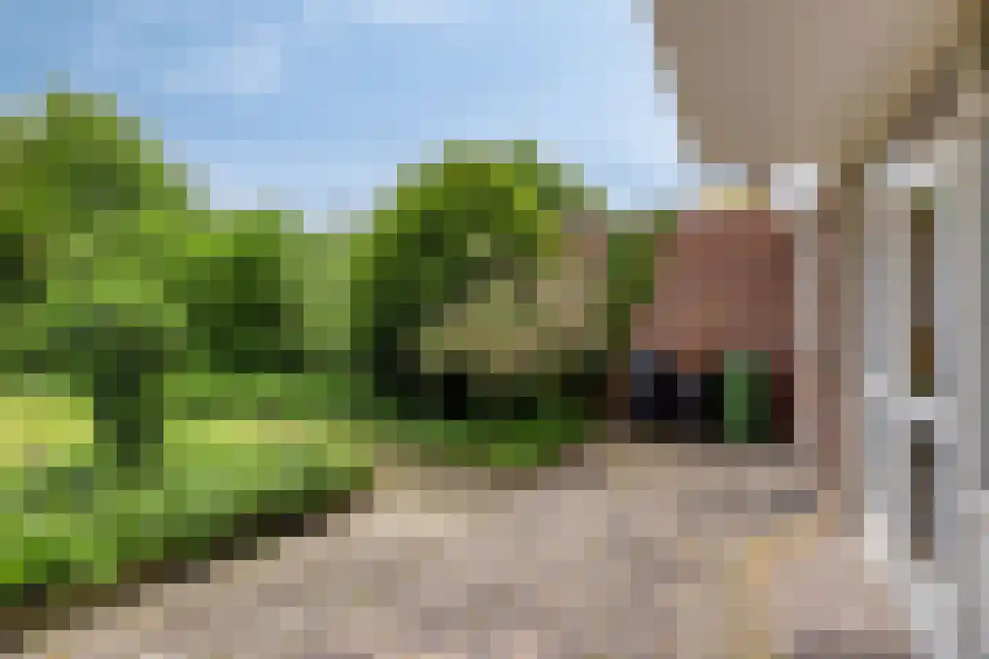 Emmalaan 21 Emmen thumbnail 26
