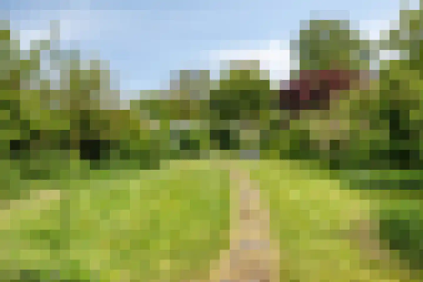 Emmalaan 21 Emmen thumbnail 27