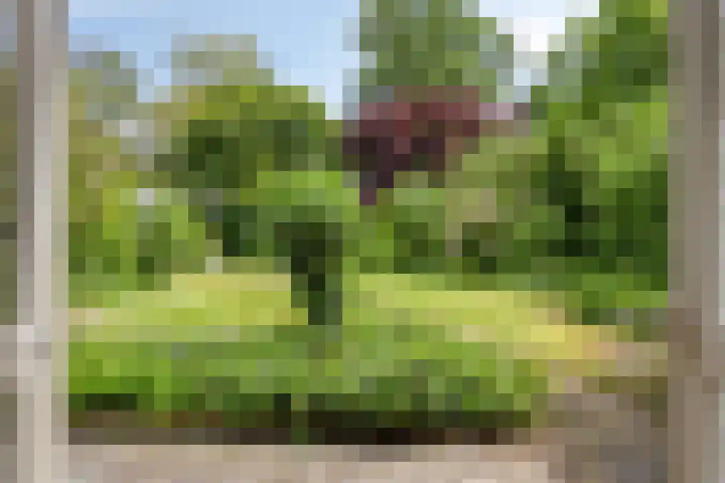 Emmalaan 21 Emmen thumbnail 4