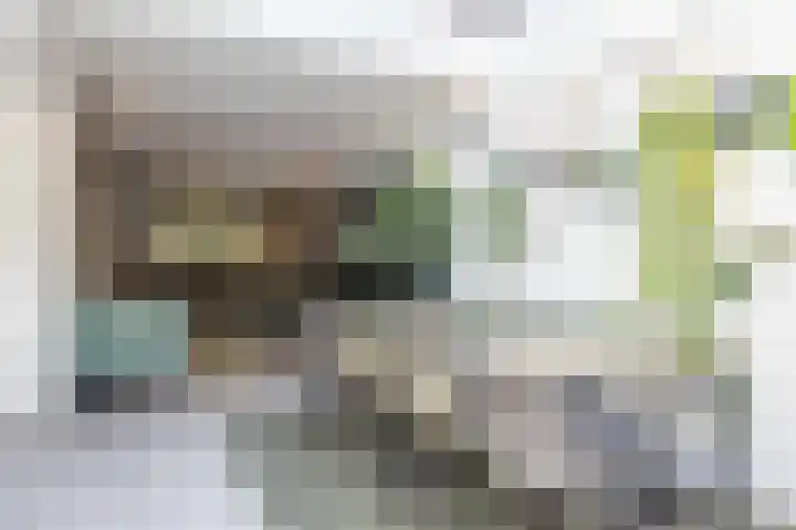 Emmalaan 21 Valkenburg thumbnail 12