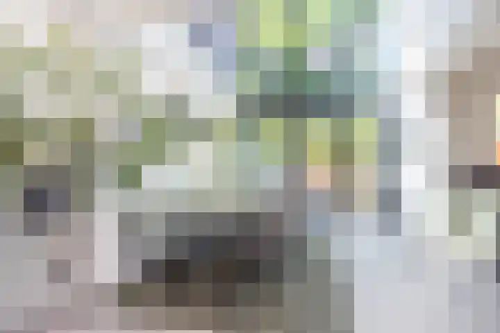 Emmalaan 21 Valkenburg thumbnail 13