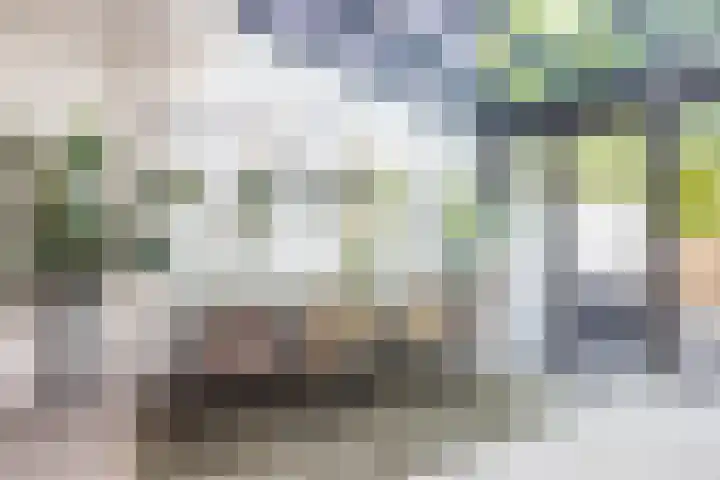 Emmalaan 21 Valkenburg thumbnail 14