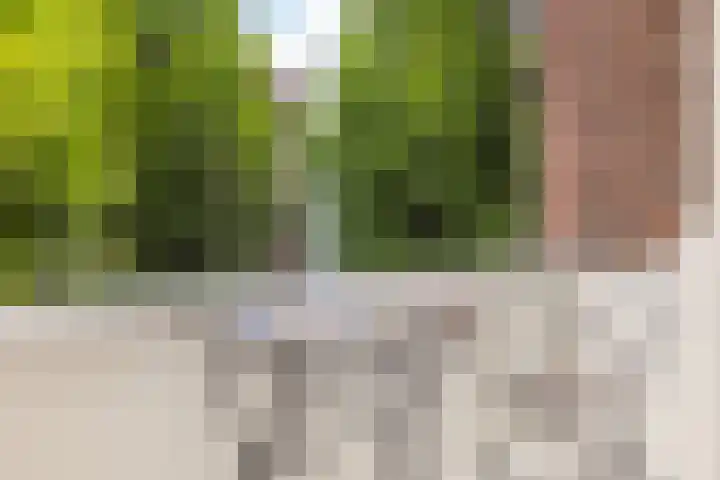 Emmalaan 21 Valkenburg thumbnail 27