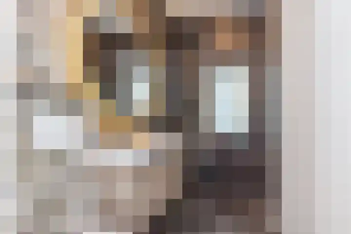 Emmalaan 21 Valkenburg thumbnail 28