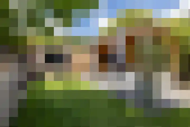 Emmalaan 21 Valkenburg thumbnail 32