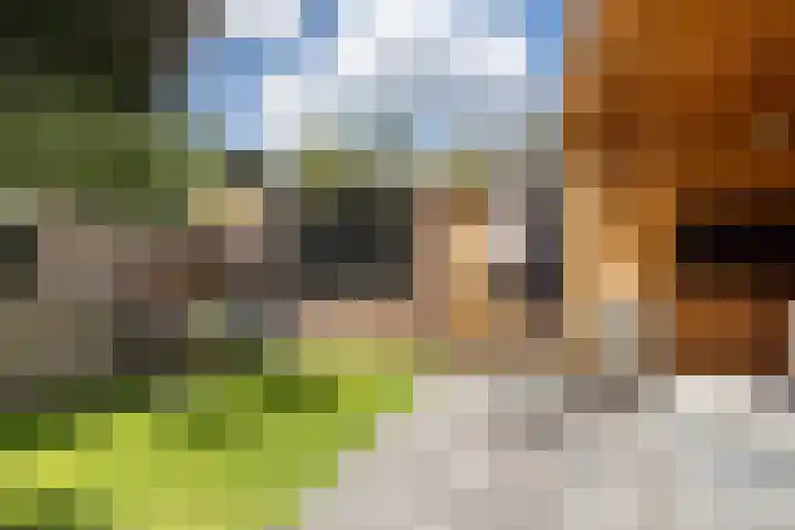 Emmalaan 21 Valkenburg thumbnail 34