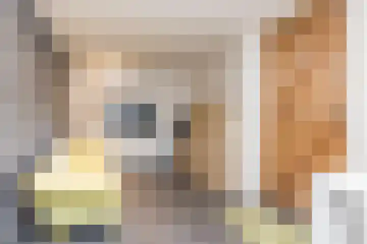Emmalaan 21 Valkenburg thumbnail 35