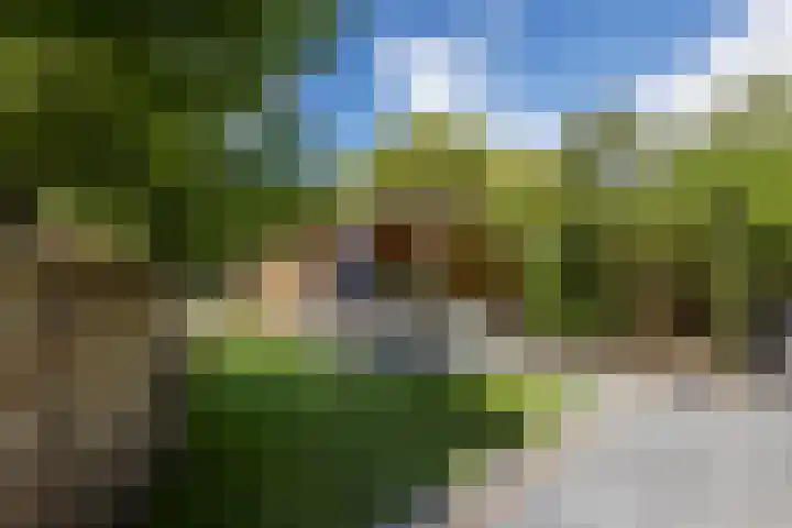 Emmalaan 21 Valkenburg thumbnail 36