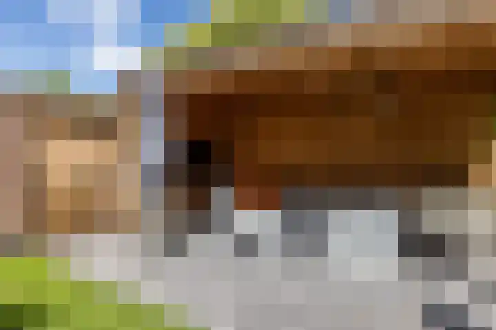 Emmalaan 21 Valkenburg thumbnail 37