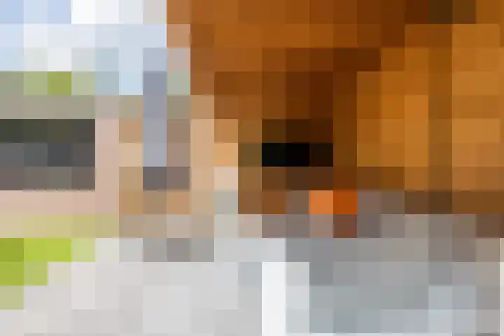 Emmalaan 21 Valkenburg thumbnail 38