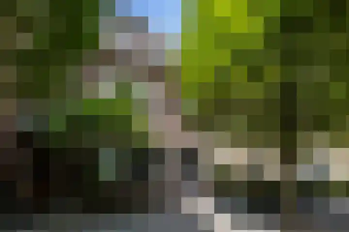 Emmalaan 21 Valkenburg thumbnail 40