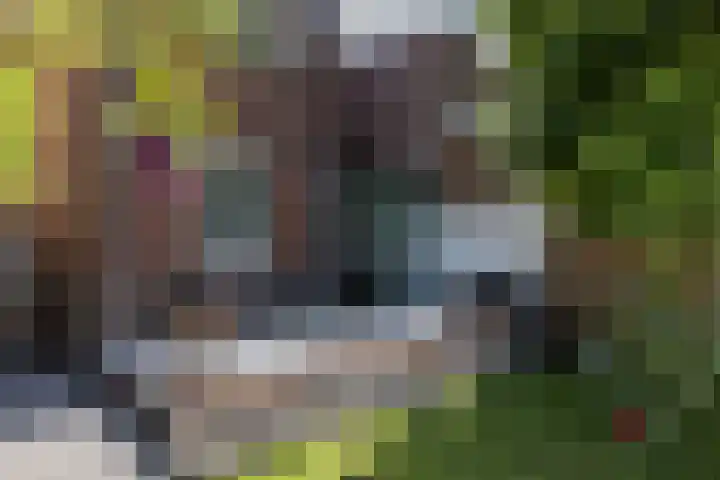Emmalaan 21 Valkenburg thumbnail 41
