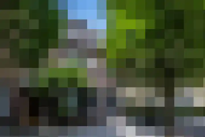 Emmalaan 21 Valkenburg thumbnail 43