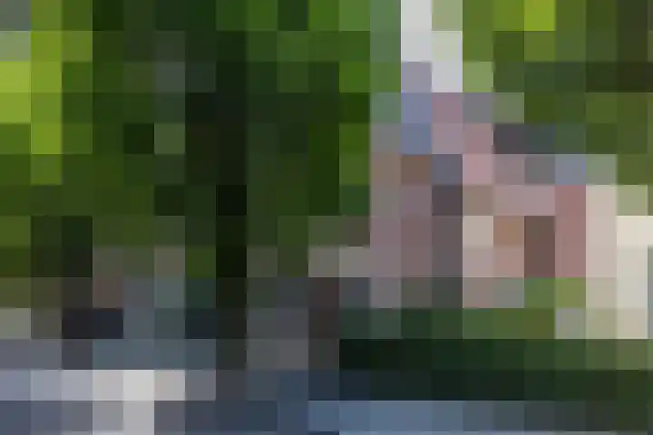 Emmalaan 21 Valkenburg thumbnail 44