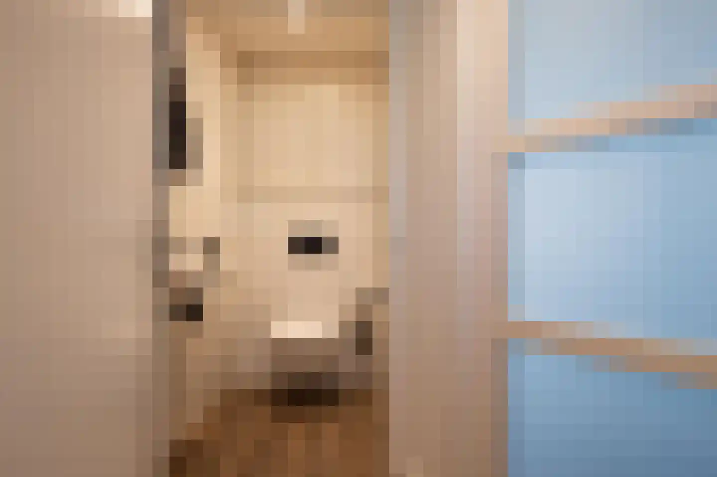 Emmalaan 22 Lopik thumbnail 12
