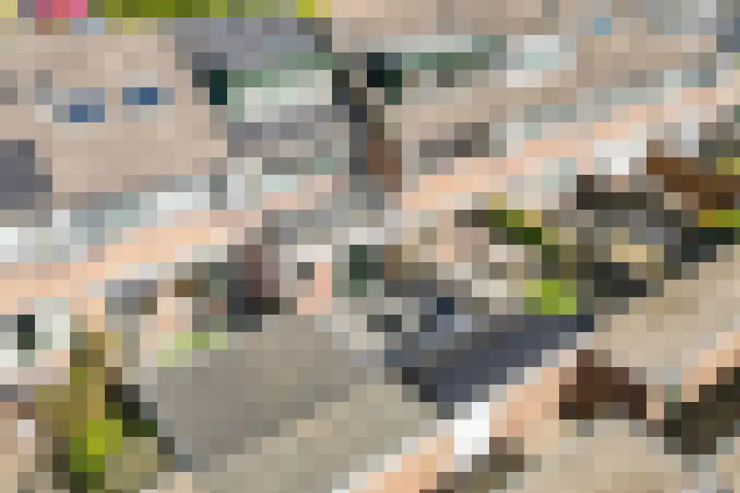 Emmalaan 22 Lopik thumbnail 28
