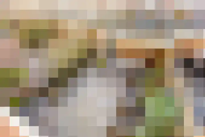 Emmalaan 22 Woubrugge thumbnail 20