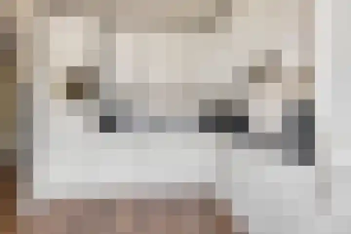 Emmalaan 22 Woubrugge thumbnail 9