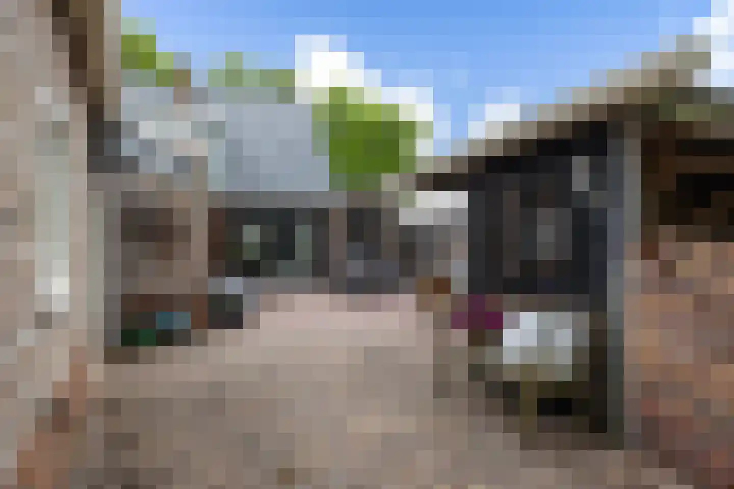 Emmalaan 22 Zuidlaren thumbnail 19