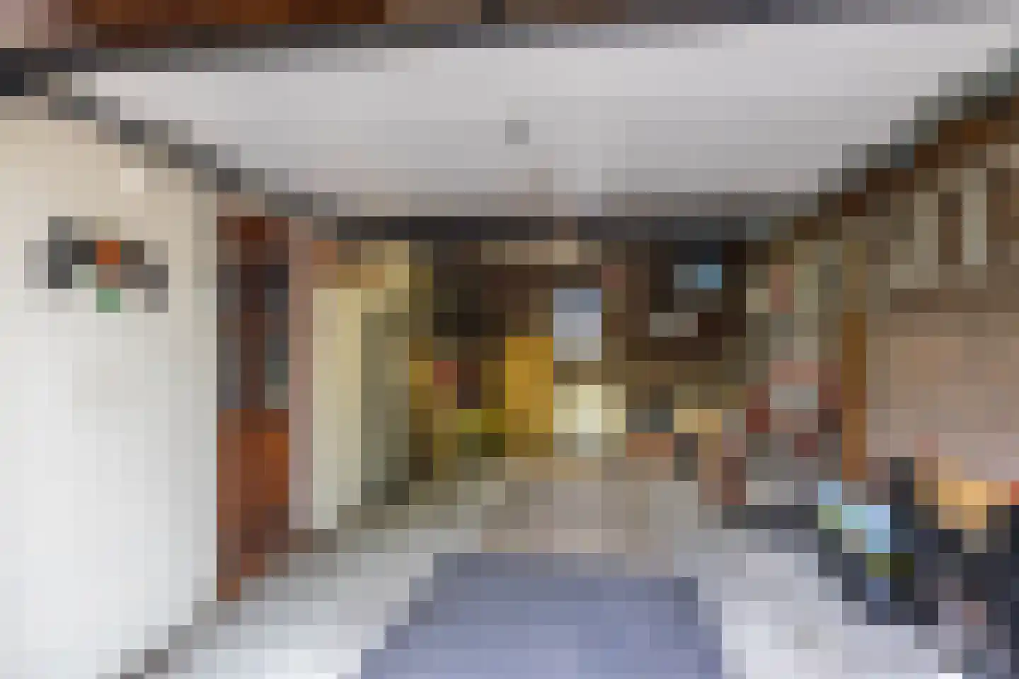 Emmalaan 22 Zuidlaren thumbnail 29