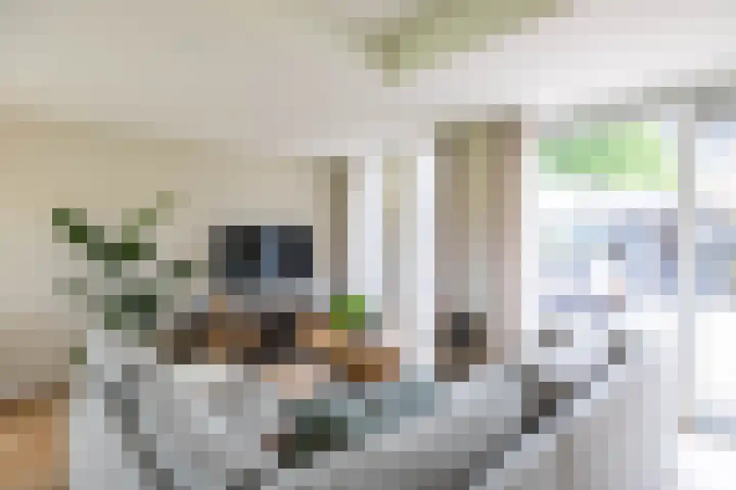 Emmalaan 22 Zuidlaren thumbnail 37