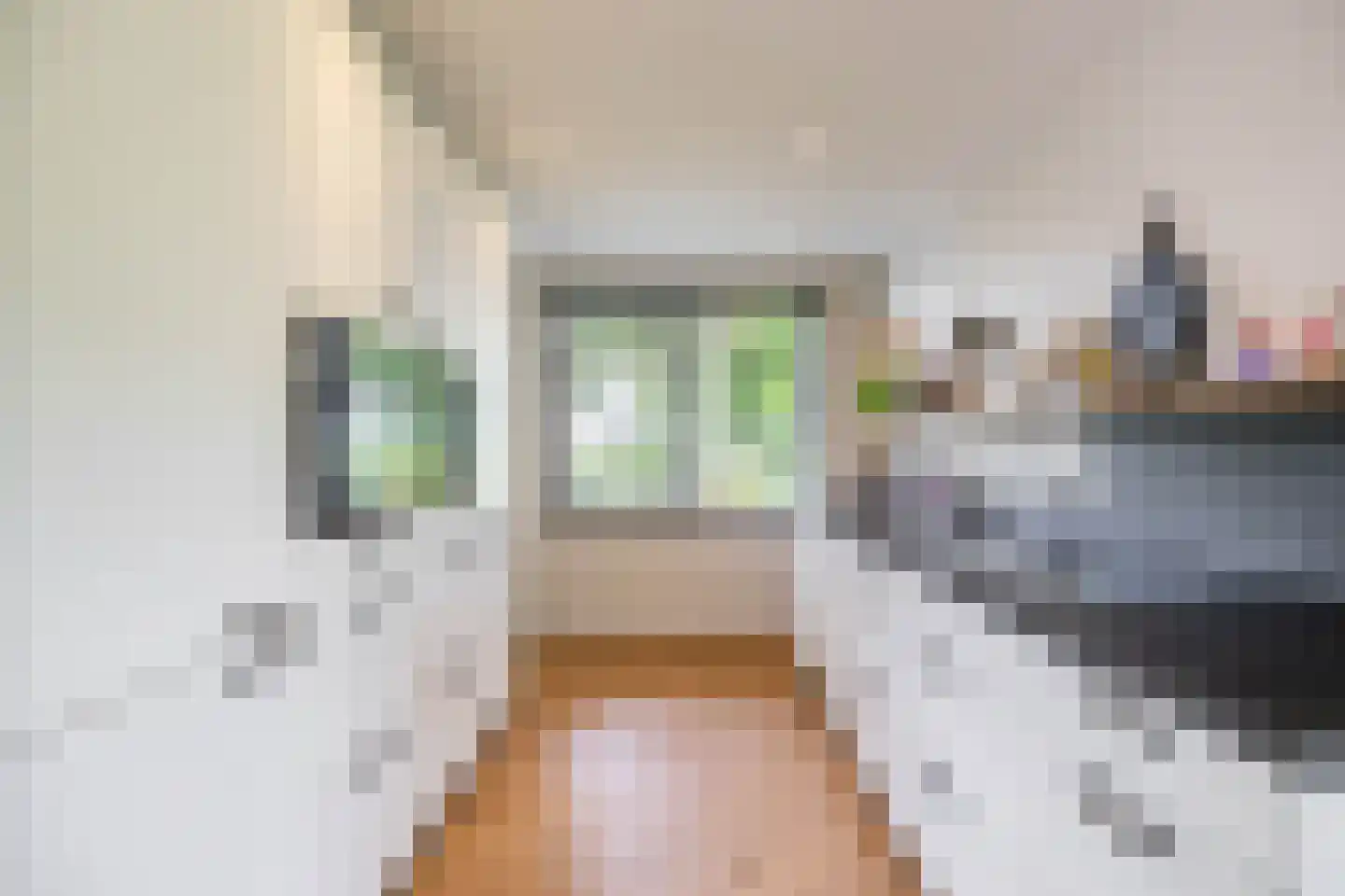 Emmalaan 22 Zuidlaren thumbnail 45