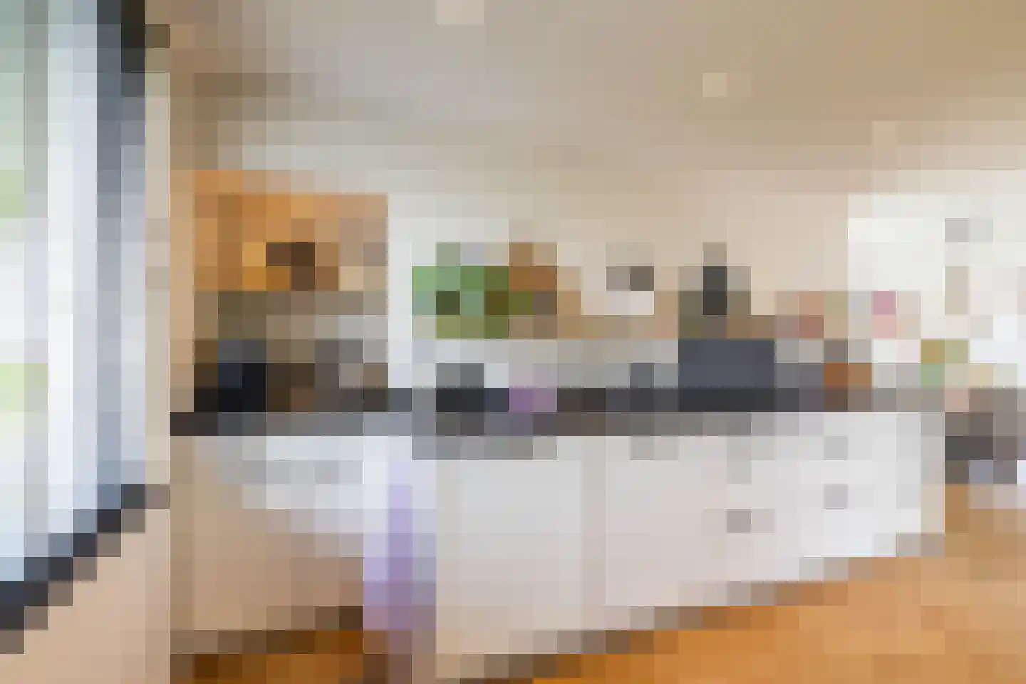 Emmalaan 22 Zuidlaren thumbnail 47