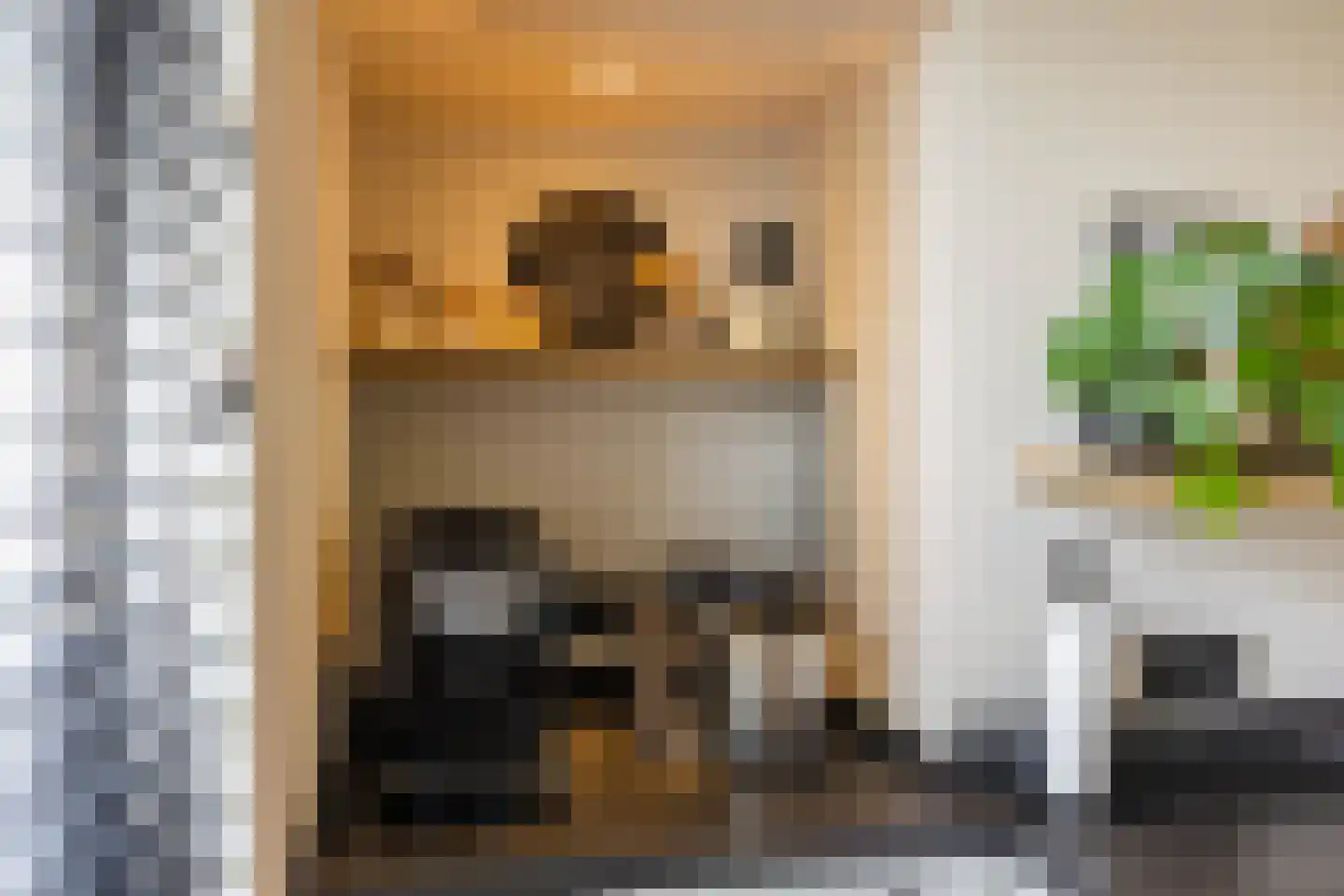 Emmalaan 22 Zuidlaren thumbnail 48