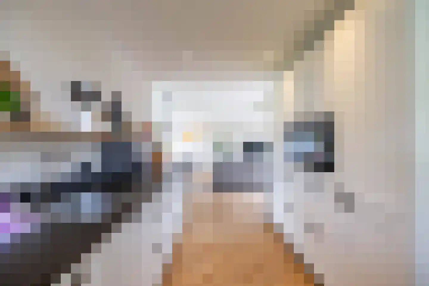 Emmalaan 22 Zuidlaren thumbnail 49