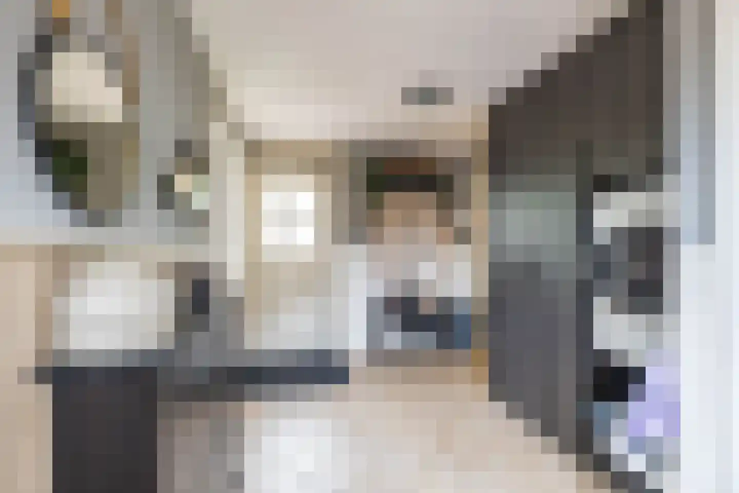 Emmalaan 22 Zuidlaren thumbnail 52