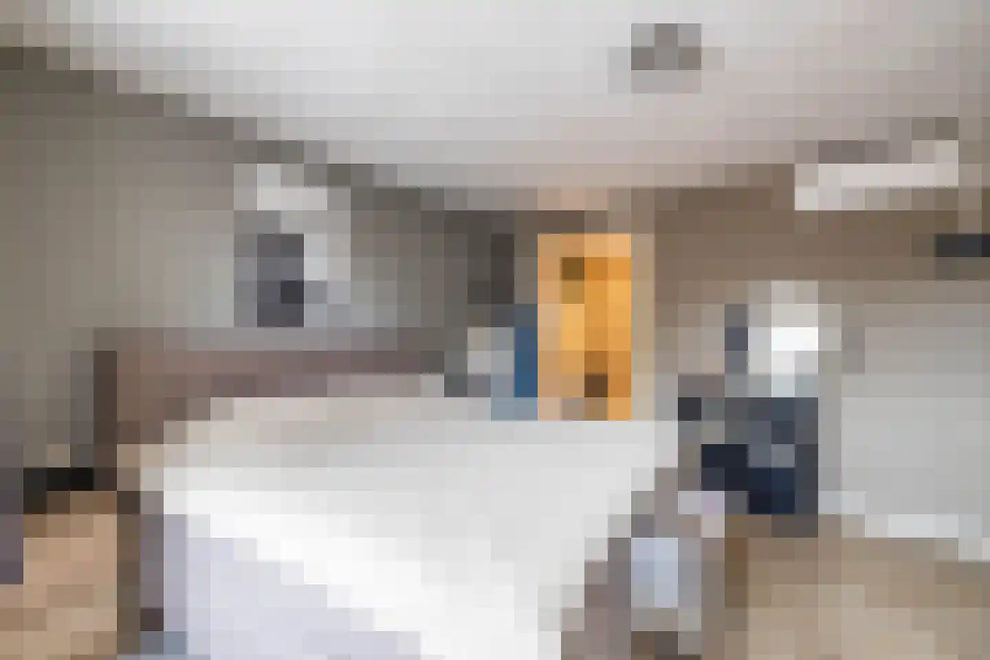 Emmalaan 22 Zuidlaren thumbnail 58