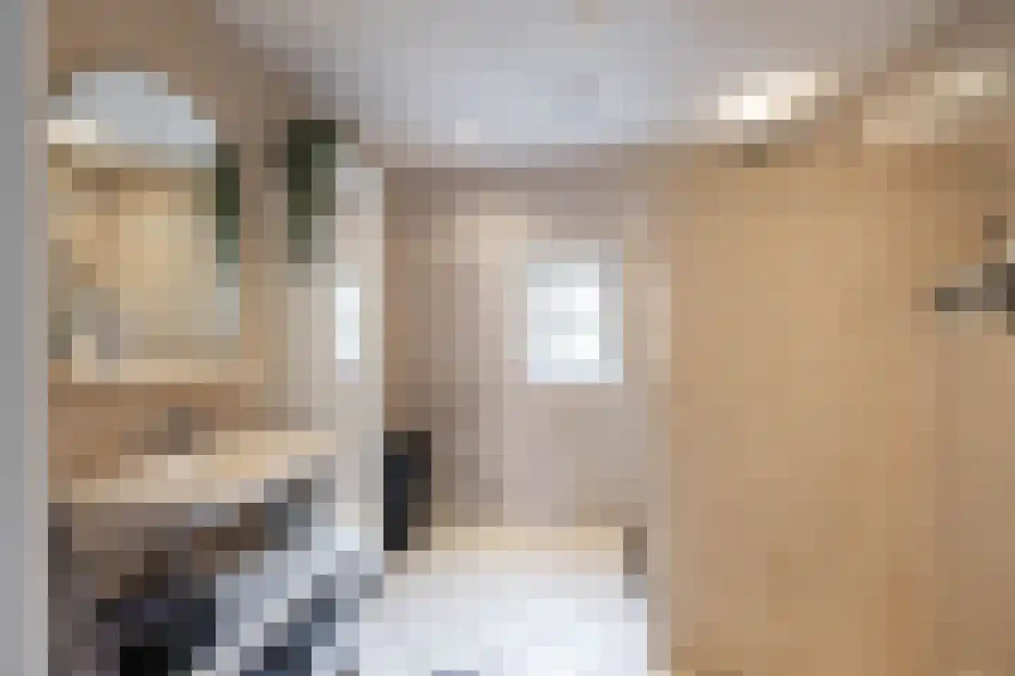 Emmalaan 22 Zuidlaren thumbnail 59