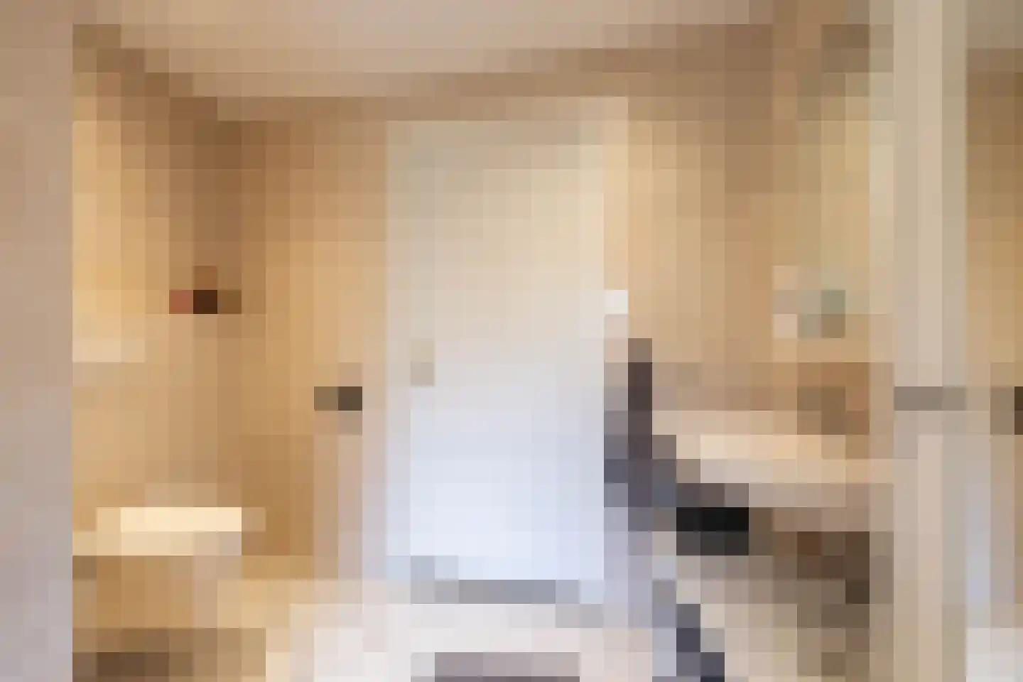 Emmalaan 22 Zuidlaren thumbnail 60